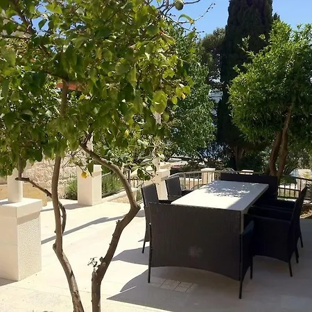 Rosa ヴィラ クチフェ