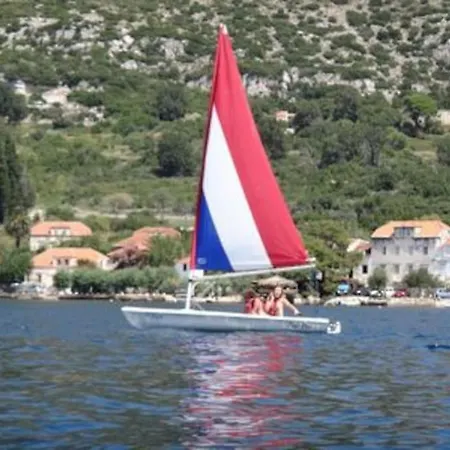Rosa Kuciste